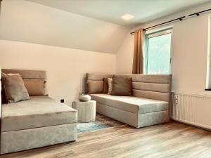 a living room with a couch and a window at LYMA Suites - Apartment B44 in Immenstadt im Allgäu
