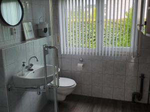 a bathroom with a toilet and a sink and a window at Chalet Zon & Zee in Zonnemaire +1 photo