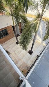 two palm trees on a sidewalk next to a street at Flat Zona Sul in Teresina