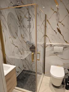 a bathroom with a shower with a toilet and a sink at Marlin City Apartment Erdgeschoss 1 in Bielefeld