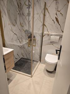 a bathroom with a shower and a toilet at Marlin City Apartment Erdgeschoss 1 in Bielefeld