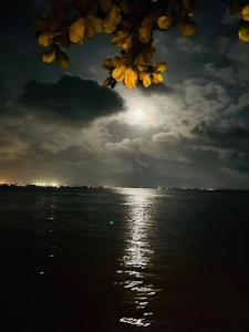 a view of a body of water with a cloudy sky at Lisbon Lagoons in Negombo