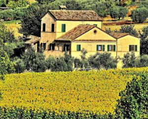 a house in the middle of a field of yellow flowers at I Ciliegi in Osimo