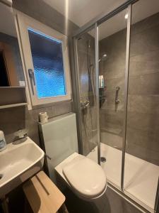 a bathroom with a shower and a toilet and a sink at Chalet Solaria 2 bedrooms with mountain and garden view in Zweisimmen +27 photos