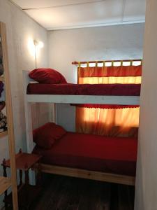two bunk beds in a small room with a window at Verde limón in Olavarría