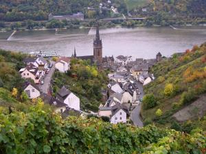 Imagen de la galería de Weingut Theodor Nies, en Lorchhausen