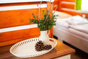 a table with a vase and pine cones on it at Apartmany Silver in Rokytnice nad Jizerou