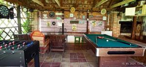 a billiard room with a table and a pool at Domaći Berek in Hlebine