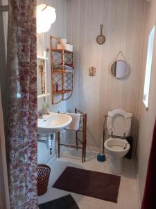 ein Badezimmer mit Toilette und Waschbecken in der Unterkunft Le Micolo in Mailly-le-Château + 11 Fotos