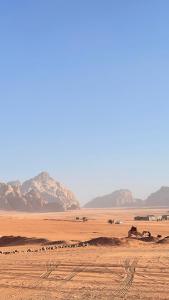 a group of horses in a desert with mountains in the background at The Celestial Dome in Disah