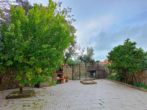 a garden with a fence and a tree at Casa D Dinis by NaturAlegre in Alegrete