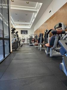 a gym with rows of treadmills and machines at El SUEÑO DE LA MANCHA in Mota del Cuervo