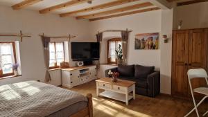 a bedroom with a bed and a couch and a tv at Sethmacher Stube in Bad Gottleuba