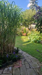 a garden with a stone path and plants at Sethmacher Stube in Bad Gottleuba +1 photo