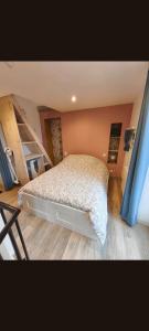 a bedroom with a bed and a book shelf at Gite a collonges la rouge avec spa in Collonges