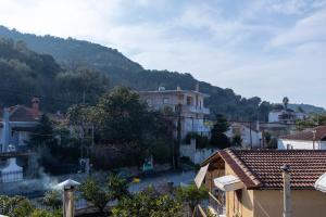 a view of a town with houses and a mountain at Villa Papazoglou in Neos Pirgos