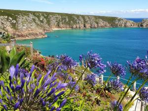 a view of a body of water with purple flowers at Tater-Du in Porthcurno