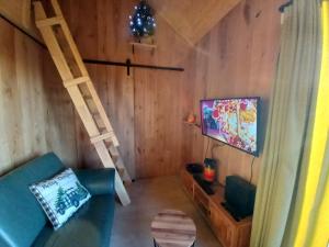 a living room with a ladder and a television at Chalet charme et bien-être Jacuzzi et nature près de Durbuy in Durbuy