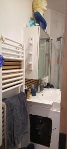 a bathroom with a sink and a mirror at Studio meublé vue tour Eiffel et tout Paris in Saint-Maurice