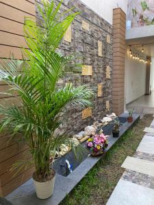 a garden with plants in front of a brick wall at RECAMARAS centricas ESTADIOS in San Aparicio