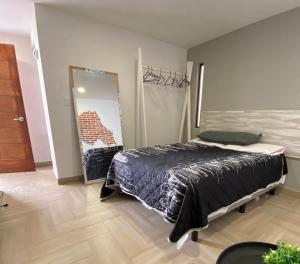 a bedroom with a bed and a mirror at RECAMARAS centricas ESTADIOS in San Aparicio