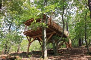 a tree house in the middle of the forest at Les Cabanes des Benauges in Arbis