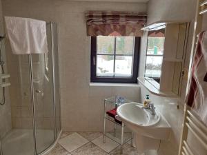 a bathroom with a sink and a shower at Ferienhaus Miriquidi Perle in Marienberg +19 photos