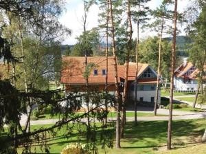a house with a shingled roof and a yard at Apartment Riviera 13 Lipno in Lipno nad Vltavou