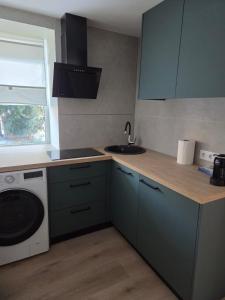 eine Küche mit Spüle und Waschmaschine in der Unterkunft Atari Apartment in Ropažu Sala