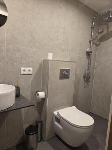 ein Badezimmer mit Toilette und Waschbecken in der Unterkunft Atari Apartment in Ropažu Sala + 17 Fotos