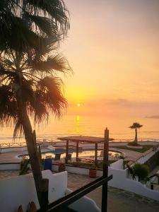 a sunset on the beach with a palm tree at Summer Nights Oceanfront Villa - Pool & Jacuzzi in Primo Tapia