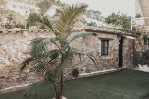 a palm tree in front of a stone building at Golden house in Cefalù