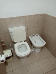 a bathroom with a toilet and a sink at Suites Piltri in El Bolsón