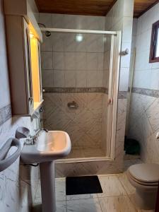 a bathroom with a shower and a sink at Alojamiento Fiara in Chajarí