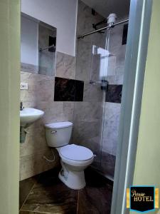 a bathroom with a toilet and a shower and a sink at Paraíso Hotel Ubaté in Ubaté +13 photos