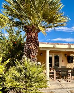 a palm tree in front of a house at Desert Vista View in Desert Hot Springs