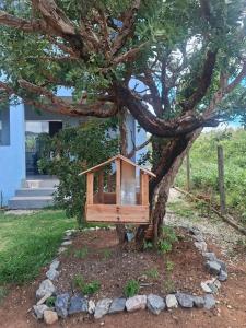 a birdhouse on a tree in front of a house at Cantinho da Meirinha in Santana do Riacho +8 photos