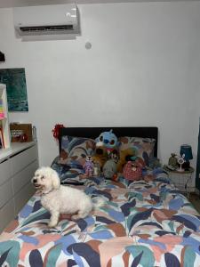 a white dog sitting on a bed with stuffed animals at Bungalow Ti Paradis in Baie-Mahault +3 photos