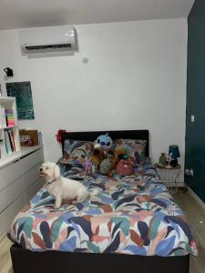 a white dog sitting on a bed with stuffed animals at Bungalow Ti Paradis in Baie-Mahault