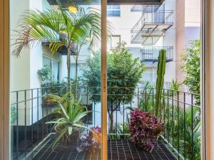 Jardí fora de Adam's home with high-speed Internet near Polanco