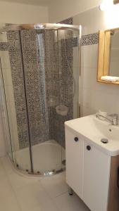 a bathroom with a shower and a sink at Apartment 179 in Tábor