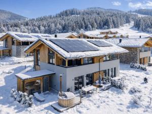 a house with solar panels on the roof in the snow at Alpenchalet Lambert in Sankt Lambrecht