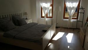 una camera con un grande letto e due finestre di Apartmán Na bidýlku - On the Perch Apartment a Tábor