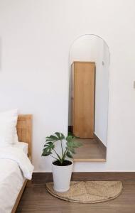 a bedroom with a potted plant in front of a mirror at Lamera Homestay & Coffee in Ben Tre
