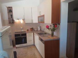 Kuchyň nebo kuchyňský kout v ubytování Apartments Ivancevic