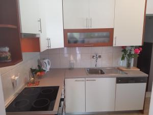 Kuchyň nebo kuchyňský kout v ubytování Apartments Ivancevic
