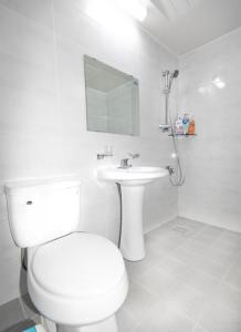 완도네시아 욕실 사진 48개 이상