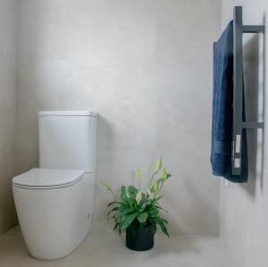 a bathroom with a toilet and a potted plant at Glenmohr Cottage in Waipu +4 photos