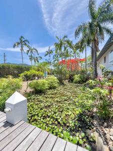 a garden with flowers and palm trees and a white box at Island Orchid in Airlie Beach +39 photos