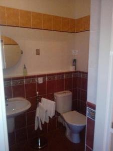 マリアーンスケー・ラーズニェにあるPension Villa Anitaのバスルーム(トイレ、洗面台付)